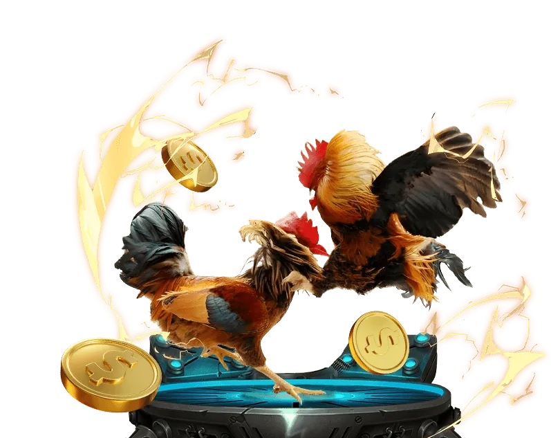 Hướng dẫn đặt cược đá gà